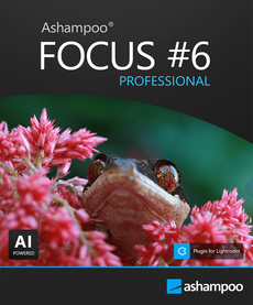 FOCUS #6 professional