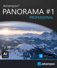 PANORAMA #1 professional