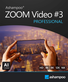 ZOOM Video #3 professional