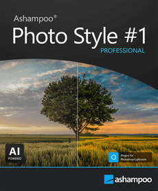 Photo Style #1 professional