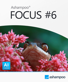 FOCUS #6