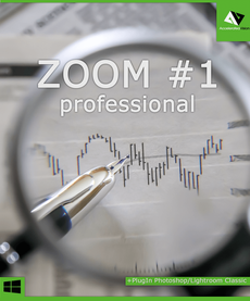 ZOOM #1 professional