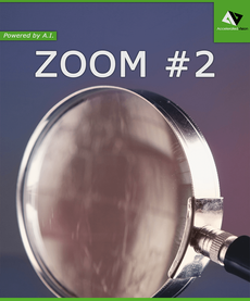 ZOOM #2