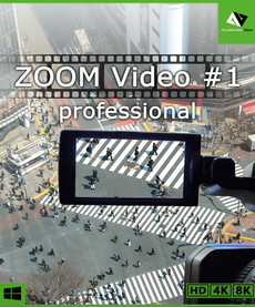 ZOOM Video #1 professional