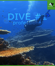 DIVE #1 professional