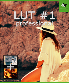 LUT #1 professional