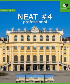 NEAT #4 professional