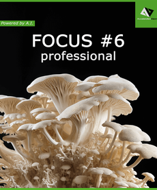 FOCUS #6 professional