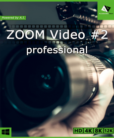 ZOOM Video #2 professional